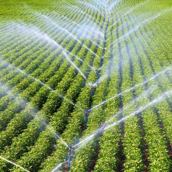 irrigation-systems-sectors